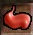 Rust Gromnie Tooth Paste Icon.png