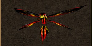 Mini Red Phyntos Wasp Live.jpg
