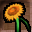 Sunflower Icon.png