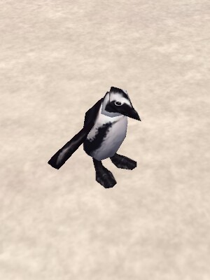 Penguin (Creature) Live.jpg