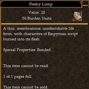 File:Fleshy Lump (Shadow Note Translation).jpg