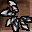 Grey Spine Icon.png
