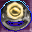 A Society Ring of Endurance Icon.png