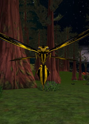 Woodland Phyntos Wasp Live.jpg