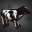 Cow Icon.png