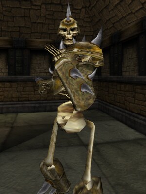 Armored Skeleton Lord Live.jpg