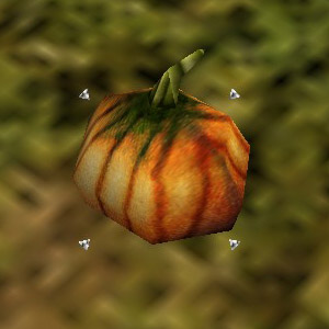 Tiny Pumpkin Live.jpg