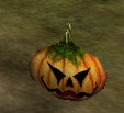 Pumpkin Head Live.jpg