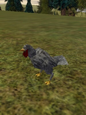 The Chicken Live.jpg