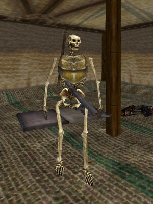 Skeleton Lord (Skeleton Tent) Live.jpg