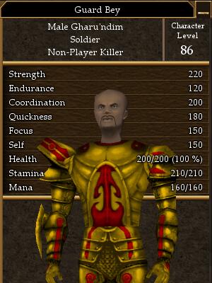 File:Guard Bey.jpg