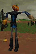 Img scarecrow.jpg
