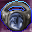 Ring of the Watchman Icon.png