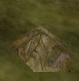 Throbbing Lump Live.jpg