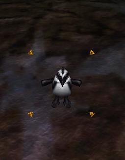 Aggressive Penguin Live.jpg