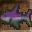 Large Purple Fish Icon.png