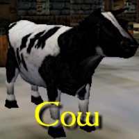 Cow Exemplar.jpg