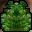 Enchanted Seedling Icon.png