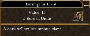 File:Berimphur Plant.jpg