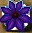 Mana Infused Nightbloom Icon.png