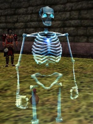 Frost Skeleton Minion Live.jpg