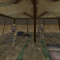 Skeleton Tent Live 3.jpg