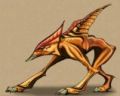 Reedshark Art.jpg