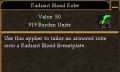 Radiant Blood Robe (Item).jpg