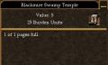 Blackmire Swamp Temple.jpg
