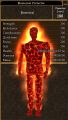 Elemental Protector (Fire).jpg