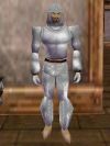 Leather Armor (Store) Argenory Live.jpg