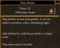 Plain Barley.jpg
