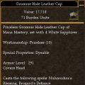 Leather Cap (Loot).jpg