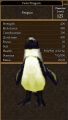 Cave Penguin.jpg