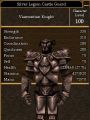 Silver Legion Castle Guard.jpg