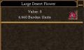 Large Desert Flower.jpg