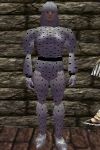 Studded Leather Armor Argenory Live.jpg
