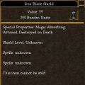 Iron Blade Shield.jpg