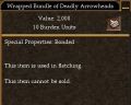 Wrapped Bundle of Deadly Arrowheads.jpg