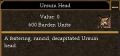 Ursuin Head.jpg