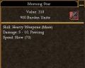 Morning Star.jpg