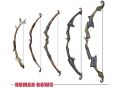 AC2 Human Bows Art.jpg