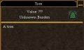 Tree.jpg