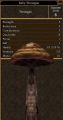 Thumbnail for version as of 17:32, 14 December 2020