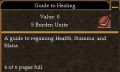 Guide to Healing.jpg