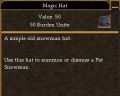 Magic Hat.jpg