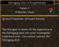 Salvaging Gem of Forgetfulness.jpg