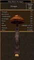 False Morel Thrungus.jpg