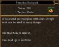 Pumpkin Backpack.jpg