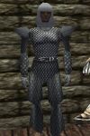 Scalemail Armor Argenory Live.jpg